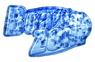 Boarder Zone Logo